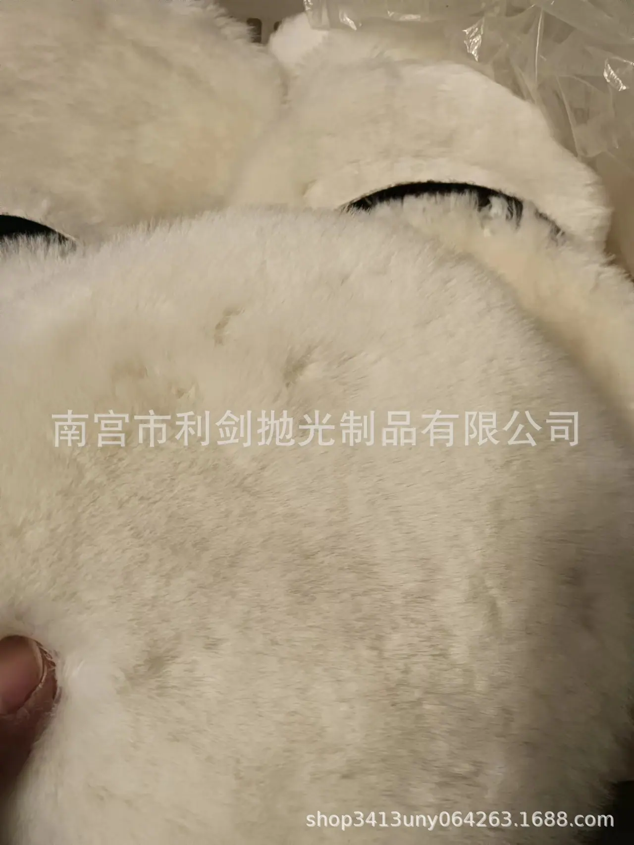 微信图片_20250524093559