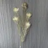 Flores de Plástico para Boda, Flores Doradas, Decoración de Hotel para Boda, Cubo de Bendición de Año Nuevo, Arreglo Floral de Frutos de Acebo, Venta Directa de Fábrica