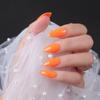 Armadura Puntiaguda Cara Brillante Caja Uñas Cortas Puntiagudas Aceite para Uñas UV Capa Selladora Parche de Uñas Acabado para Uñas Ponerse Armadura
