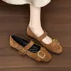 Chuyuji 2026 Novos Sapatos Mary Jane Rasos Redondos Retrô Marrons Femininos para Outono, Estilo Francês Versátil