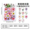 Marcapáginas de flores secas especímenes colección de primavera en botella de película plástica materiales hechos a mano para manualidades estudiantes de primaria flores transparentes