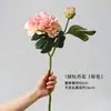Flor Artificial 2 Cabezas Jiao Bian Yang Peonía Loulian Flor Falsa Decoración de Escritorio para el Hogar Nórdico Accesorios para Fotografía Adornos