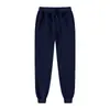 Calça Jogger Casual Versátil Nova para Homem, Esportes ao Ar Livre, Fitness, Calça de Moletom, Moda Casual Europeia e Americana, Calça de Lã