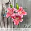Lirios Artificiales Pequeños 3D para Comercio Transfronterizo, Flor de Lirio de un Solo Tallo, Decoración para el Hogar e Impresión 3D, Accesorios para Fotografía
