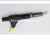 Aplicable al conjunto de inyector de combustible diésel Delphi Yuchai Jiangling Great Wall pistola Sida ZTE Huanghai camioneta riemai