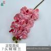 Padrão de modelagem 7 cabeça Phalaenopsis cola sentir Phalaenopsis estúdio fotográfico adereços flor de simulação janela bonita Chen