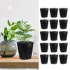 Taza de Nutrición para Plántulas Hortícolas Bolsa para Plántulas Maceta Desechable Plástico de Plantación Negra Taza para Plántulas Maceta para Plántulas Maceta de Nutrición