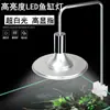Xinma Lâmpada LED para Aquário de Plantas Aquáticas Lâmpada com Clipe Tanque Água e Terra Aquário Lâmpada para Paisagismo Lustre Suporte de Lâmpada E27 Fabricante de Iluminação