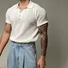 Camisa polo de punto de manga corta con cuello camisero estilo americano para hombre, nuevo modelo de verano de Dongdaemun, top casual transpirable con patrón de panal
