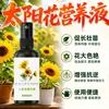 Sol Especial Nutriente Solución Plántula Fertilizante Girasol Hojas Amarillas Raíces Podridas Nitrógeno Fósforo Potasio Promueve Flores Florece Fertilizante
