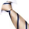Corbata de Cachemira Rayada Casual de Moda para Hombre Lista para Usar del Fabricante 8cm Atada a Mano Formal Negocios Accesorios para el Lugar de Trabajo