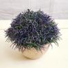 Mini planta de cactus en maceta de estilo nórdico, carnosa, pequeña, de simulación, verde, decorativa, de escritorio