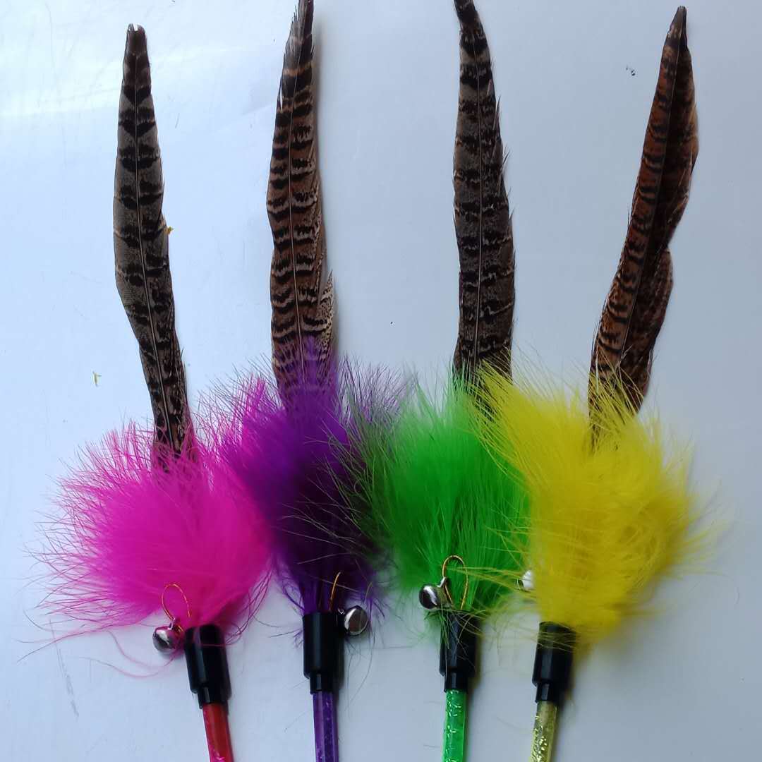 微信图片_20190409203149