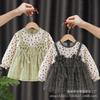 Babero infantil para comer, impermeable, antisuciedad, falda de princesa, delantal de estilo occidental para otoño e invierno, ropa protectora antiadherente para bebé