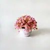 Popular planta en maceta de mini gypsophila artificial transfronteriza para decoración de escritorio en casa, accesorio de fotografía y accesorio de planta verde