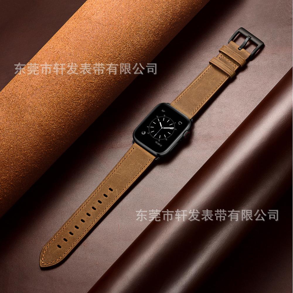 红棕疯马 (4).jpg