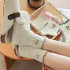Calcetines de encaje para niños primavera y otoño calcetines de media caña absorbentes de sudor desodorantes lazo ins otoño e invierno versátiles estudiantes calcetines de rizo