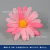 Marco de Fotos de Flor Rosa Simulada Paquete de Materiales DIY Regalo Hecho a Mano para el Día de la Diosa Evento de Salón Tocador de la Dinastía Han