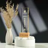 Cristal Trofeo Pequeño Personalización Empresa Reunión Anual Logo Imagen Personalización Luminoso Creativo LED Luz Nocturna Souvenir de Aniversario