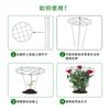 Marco de Soporte para Fresas de Rejilla Fabricante Directo de Plantas y Flores Venta de Jardinería Soporte para Flores de Orquídea Garra de Cangrejo Hortensia Rosa Marco de Trepa