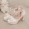 Nuevas Sandalias de Plataforma de Suela Gruesa con Tacón Alto Grueso con Lazo de Encaje Bordado Estilo Hada con Punta Cubierta 33-48 Zapatos de Exportación
