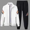 Cárdigan de punto para hombre de primavera y otoño, suéter casual deportivo, marca de moda para hombre de comercio exterior, suéter con cremallera, pantalones de chándal, conjunto de dos piezas