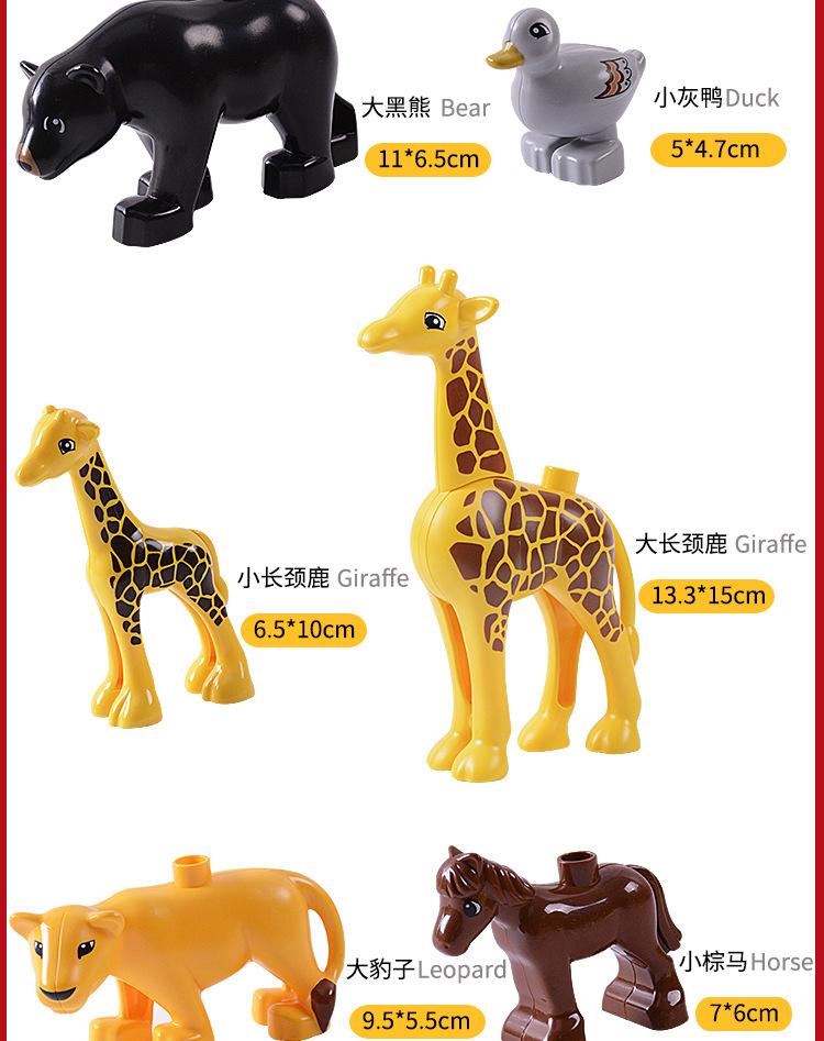 动物详情_12