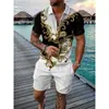 2023 Exportación Transfronteriza Moda Masculina Casual Traje Estampado 3D Cremallera Manga Corta Camisa Polo Pantalones Cortos Conjunto de 2 Piezas