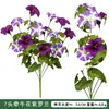 Enredadera Artificial de Gloria de la Mañana Flor Trompeta Venta Caliente Transfronteriza Cesta de Flores para Exteriores Decoración de Jardín Colgante de Pared Artificial de Gloria de la Mañana