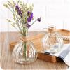 Vaso Criativo de Abóbora Moderno Simples Transparente Estilo Europeu Pequeno Fresco Decoração de Mesa Estilo Pastoral