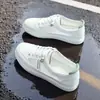 Sapatos de condução femininos White Pillow Crane, sapatos baixos finos de verão adequados para prática de direção, sapatos macios especiais para o nível 2 do teste de direção