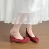 Zapatos de tacón grueso de una sola pieza con faldas, Mocasines elegantes para mujer, Nuevo estilo Primavera/Otoño 2026, Lazo, Mary Janes de boca poco profunda