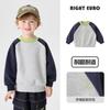 Sudadera para Niños Ropa de Otoño Ropa para Niños Pequeños Nuevos Estilos de Otoño y Primavera Ropa para Niños Tops para Niños Modernos