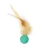 Juguete de Pelota Saltarina de Oruga Amazon para Gatos, para el Autoentretenimiento y Alivio del Aburrimiento de los Gatos, Fabricante de Palo de Jugueteo Interactivo Gusano Arcoíris