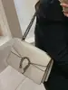 2026 Nuevo Bolso de Mujer de Gama Alta de Nicho de Moda Bolso de Cadena de Celebridad de Internet Versátil Cadena Bolso Cuadrado Pequeño