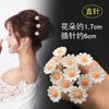 Horquilla de perlas de Corea del Sur para moño nupcial, decoración de bola para el cabello, pasador para el cabello, clip en U, pasador de mariposa, clip para el cabello, accesorios para la cabeza