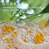 Alfombra 3D texturizada, verdaderamente impermeable y resistente a las manchas, para uso doméstico en sala de estar, dormitorio, alfombrilla de cabecera, estilo Crema Francés, venta al por mayor de fábrica, cobertura total