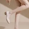 Sapatos femininos de sola macia e salto grosso, nova coleção outono 2026, saltos altos confortáveis para o trabalho, adequados para entrevistas e ambientes profissionais, feitos de couro macio