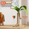 Rascador para gatos, estructura para trepar gatos, artículos para mascotas, juguete para gatos, campana de autoentretenimiento, caña para provocar gatos, pluma rascador para sofá, artículos para mascotas