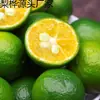 Laranja pequena verde de Hainan, kumquat, limão verde fresco, laranja verde de casca fina, suculenta, fruta da estação, frete grátis, caixa inteira 5 libras, kumquat