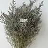 Grama Amor Eterno 120g flor seca para casa flor preservada flor eterna com decoração de flores fábrica atacado