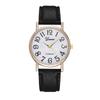 2023 Novo Agvawatch Shell Face Relógio de Pulso com Pulseira Geneva Grande Digital Moda Relógio Feminino