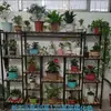 Novo Suporte de Flores de Jardim de Ferro Multicamadas para Interior Casa Varanda Sala de Estar Anti-corrosão Suporte para Vasos de Flores Suporte de Flores