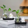 Adorno de Escritorio de Elfo Cerámico Fantasmal de Moda para Halloween Maceta Hidropónica para Plantas Verdes Decoración de Oficina