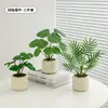 Plantas Verdes, Vasos Pequenos, Árvore da Fortuna Semelhante para Mesas de Escritório Internas, Mesas de Centro de Sala de Estar, Flores Artificiais e Arranjos Florais