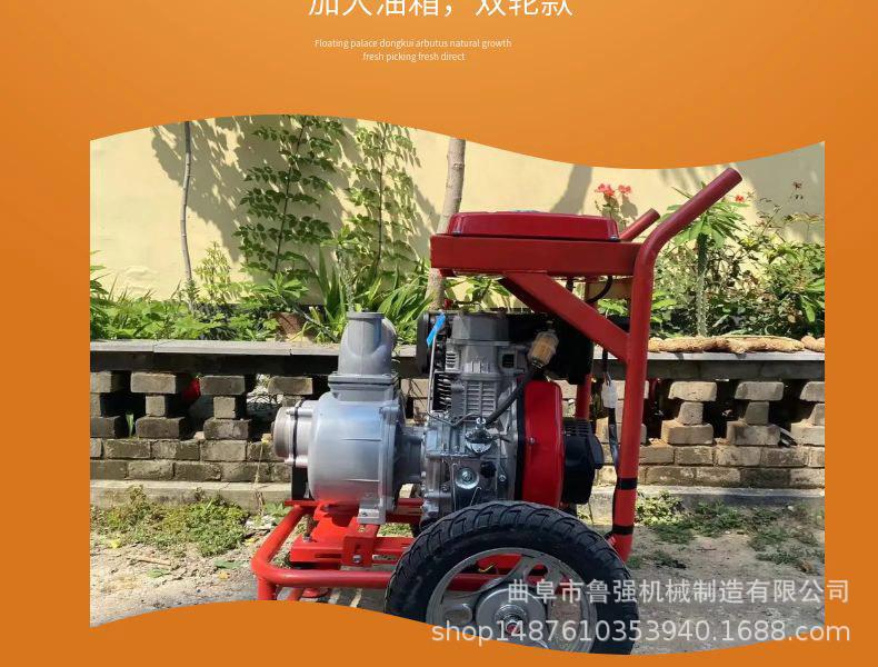 淘宝天猫黄色小清新风格龙眼水果详情页模板_09