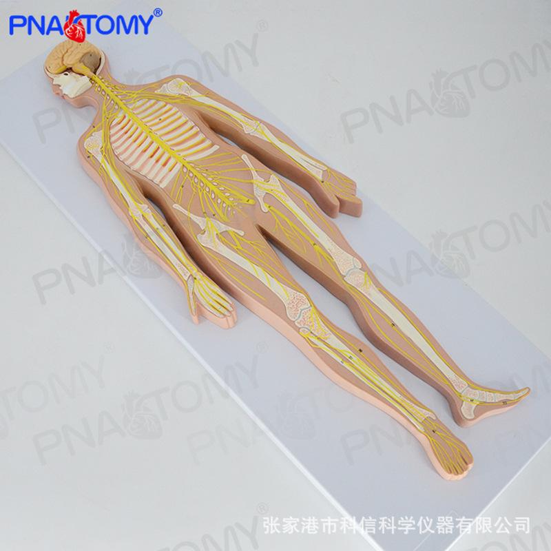 详情-3.jpg