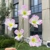 5 cabeças de flores cosmos Monet, flores artificiais, flores falsas para decoração de casamento e casa, atacado