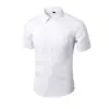 Camisa Polo de Manga Corta con Cuello Camisero para Hombre, Camisa de Verano de Marca de Moda, Estilo Coreano Ajuste Delgado, Versátil Camisa Top Nueva de Moda 2025