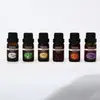 Set de aceites esenciales difusores transfronterizos, aceites esenciales solubles en aceite, aceites esenciales de extracto de planta, piedras difusoras y aceites esenciales de disulfuro
